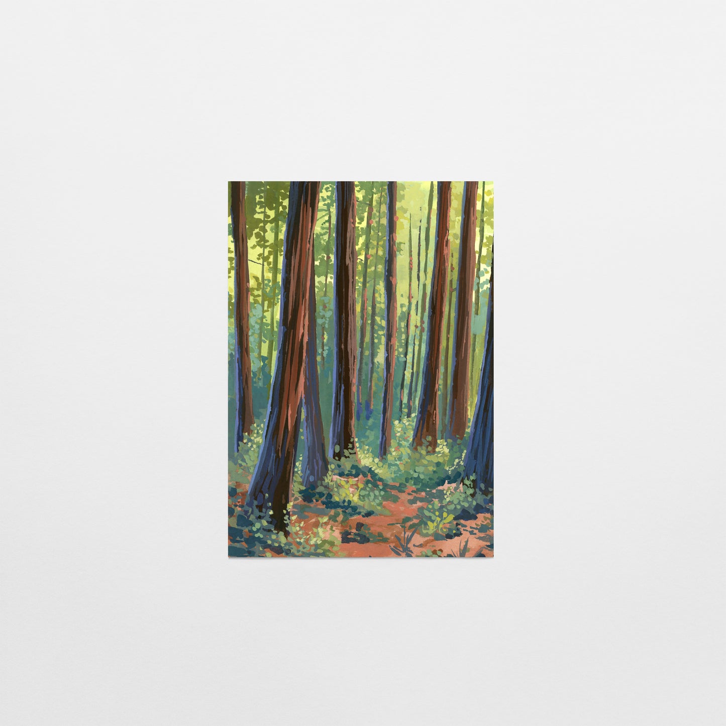 'Muir Woods ii' Postcard